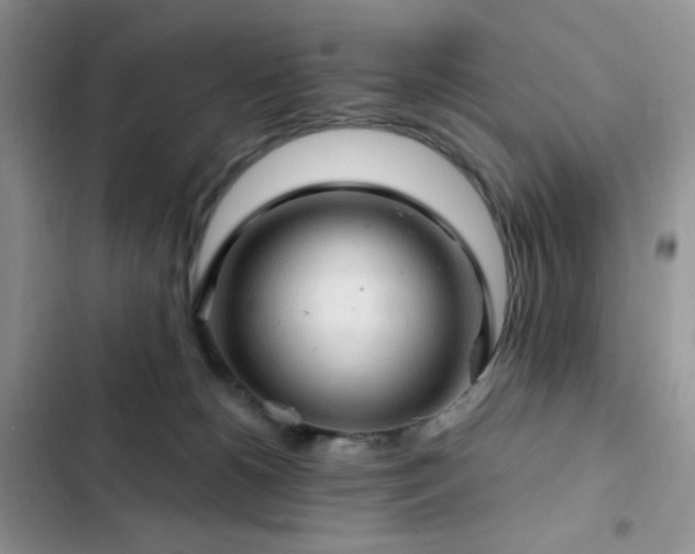 X0000103160180200808221402