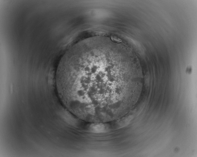 X0000103160181200808221402