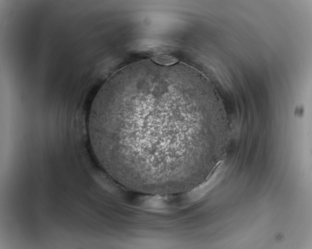 X0000103160182200808221402