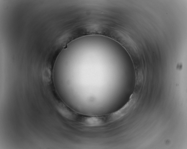 X0000103160183200808221402