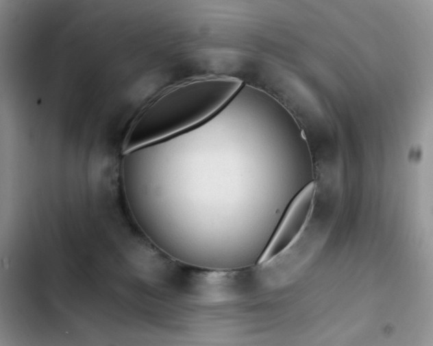 X0000103160184200808221402