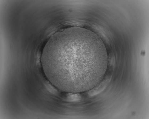 X0000103160185200808221402