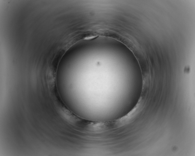X0000103160186200808221402