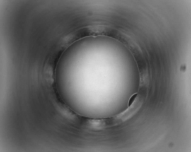 X0000103160187200808221402