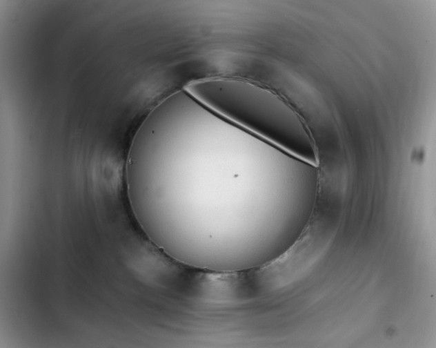 X0000103160188200808221402