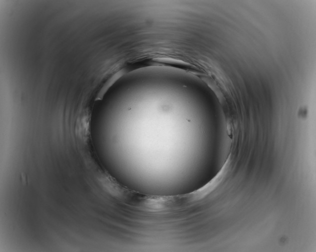 X0000103160190200808221402