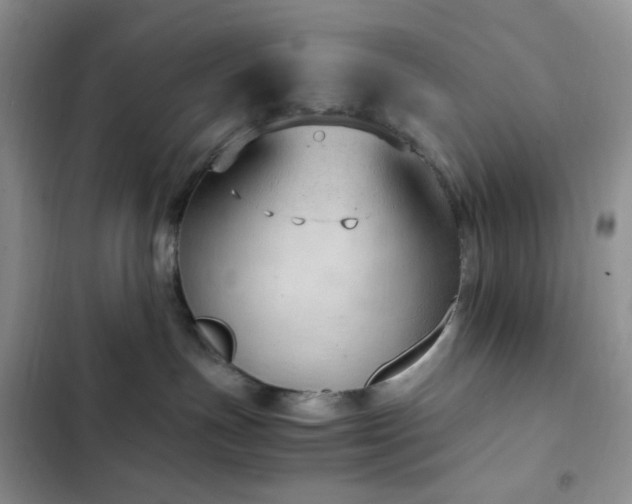 X0000103160191200808221402