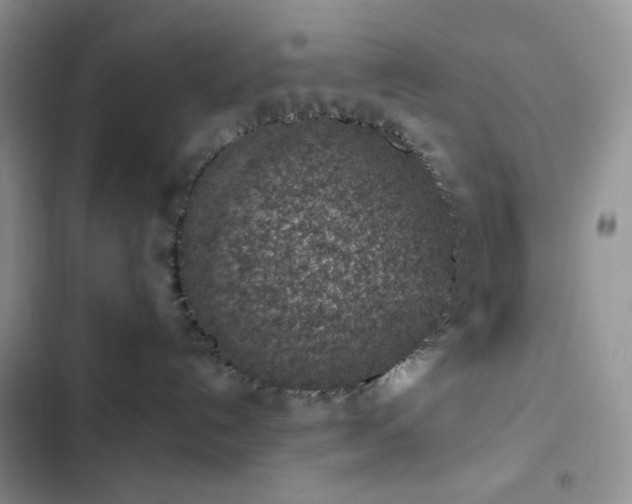 X0000103160192200808221402