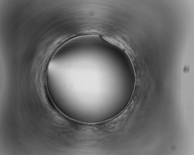 X0000103160193200808221402