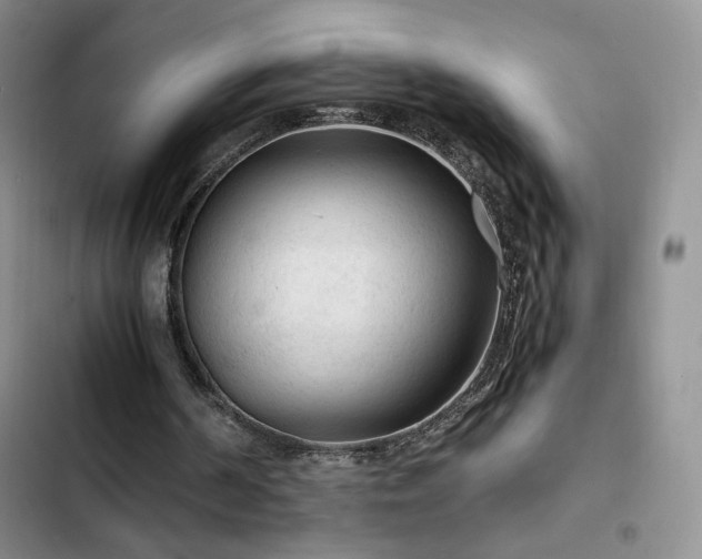 X0000103160194200808221402