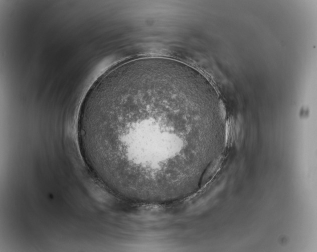 X0000103160195200808221402