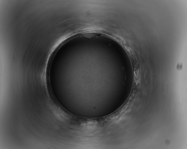X0000103160196200808221402
