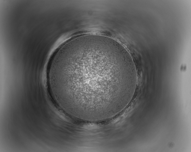 X0000103160198200808221402