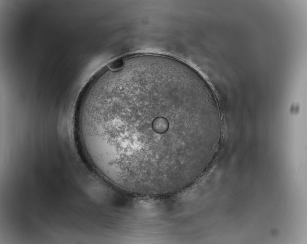 X0000103160199200808221402