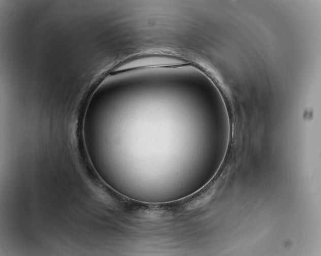 X0000103160201200808221402