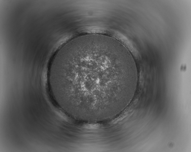 X0000103160202200808221402