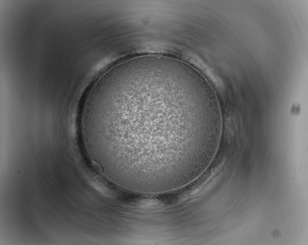 X0000103160203200808221402