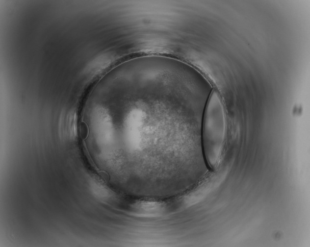 X0000103160205200808221402