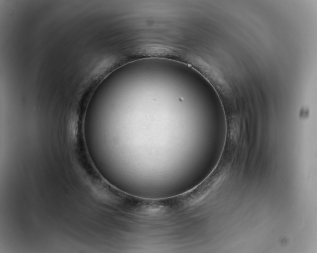 X0000103160206200808221402