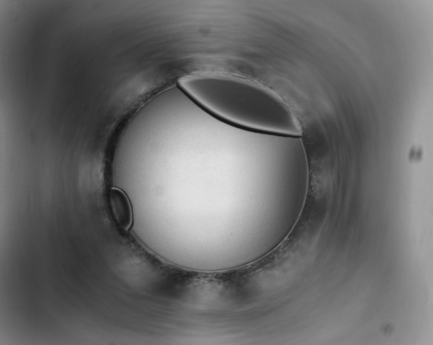 X0000103160207200808221402