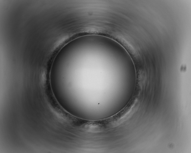 X0000103160208200808221402