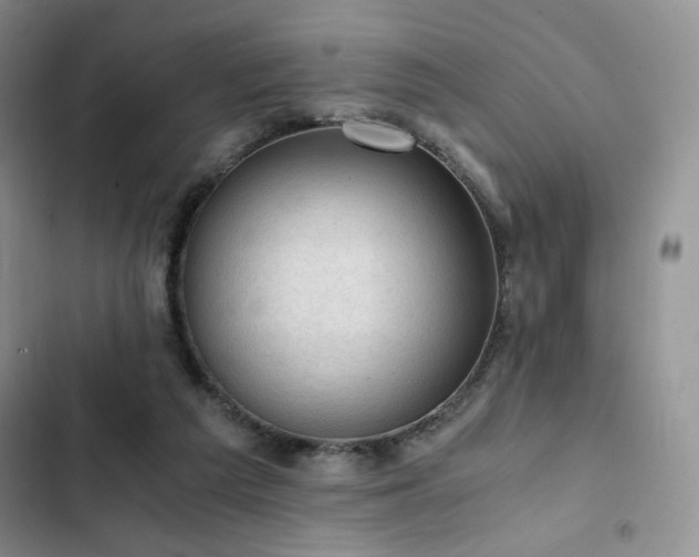 X0000103160209200808221402