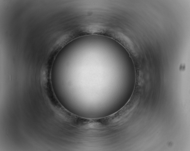 X0000103160210200808221402