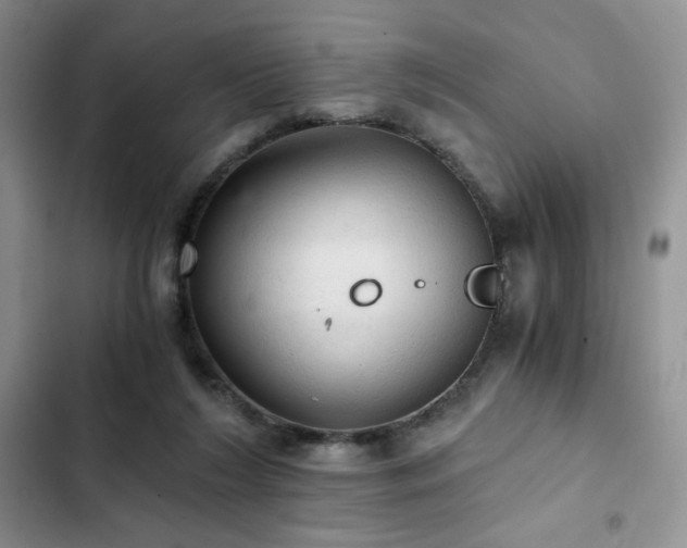 X0000103160212200808221401