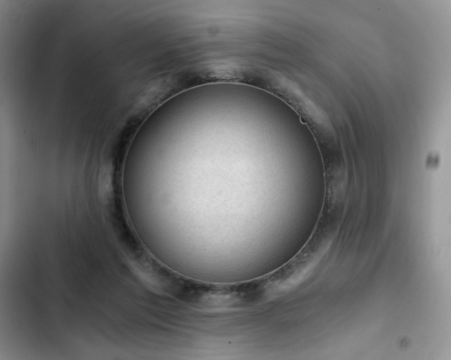 X0000103160213200808221401
