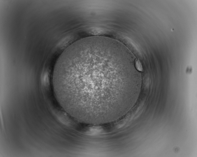 X0000103160214200808221401