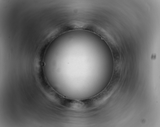 X0000103160215200808221401