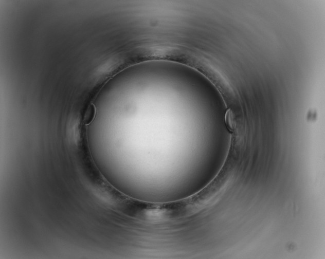 X0000103160216200808221401