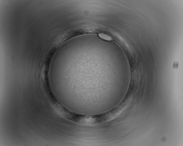 X0000103160217200808221401