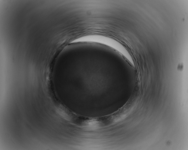 X0000103160219200808221401