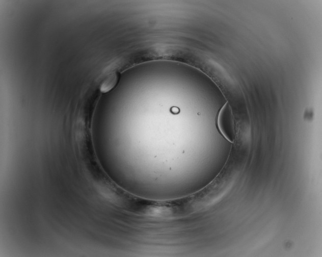 X0000103160220200808221401