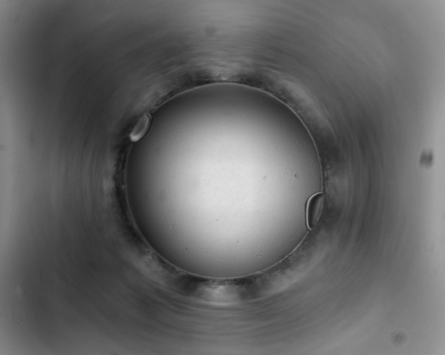X0000103160221200808221401