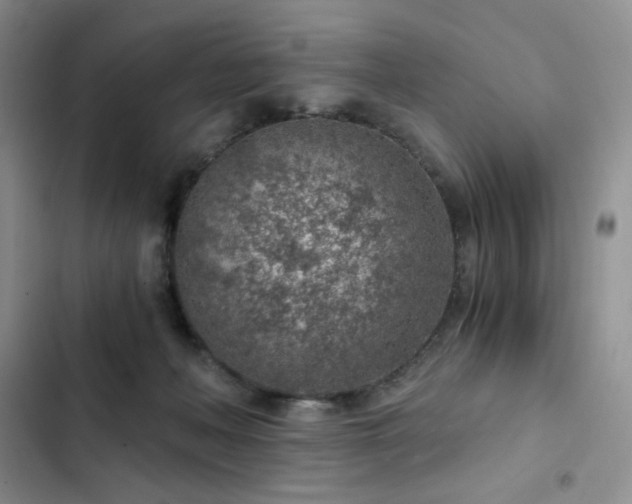 X0000103160222200808221401