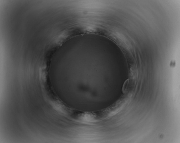 X0000103160223200808221401