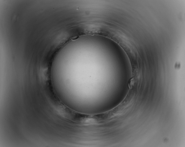 X0000103160224200808221401