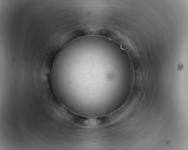 X0000103160225200808221401