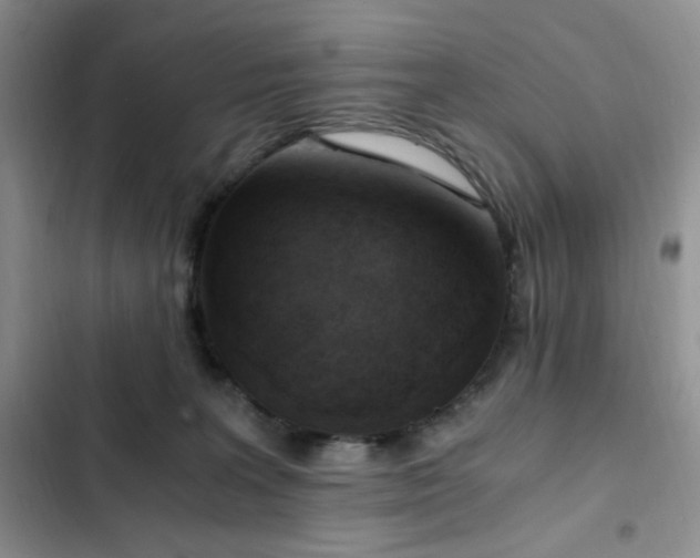 X0000103160227200808221401