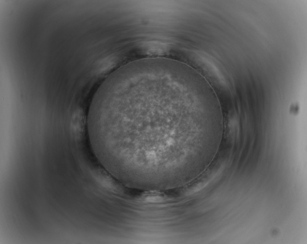 X0000103160228200808221401