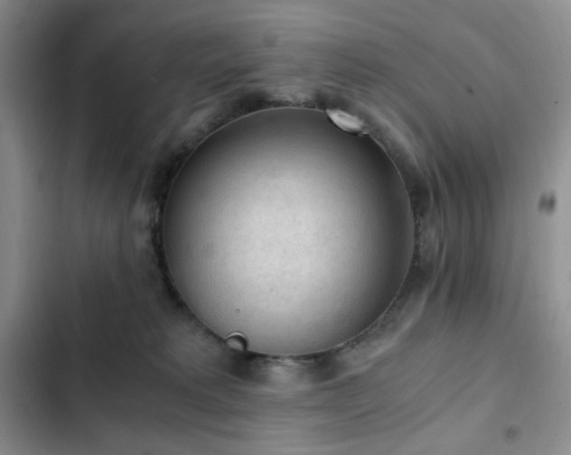X0000103160229200808221401