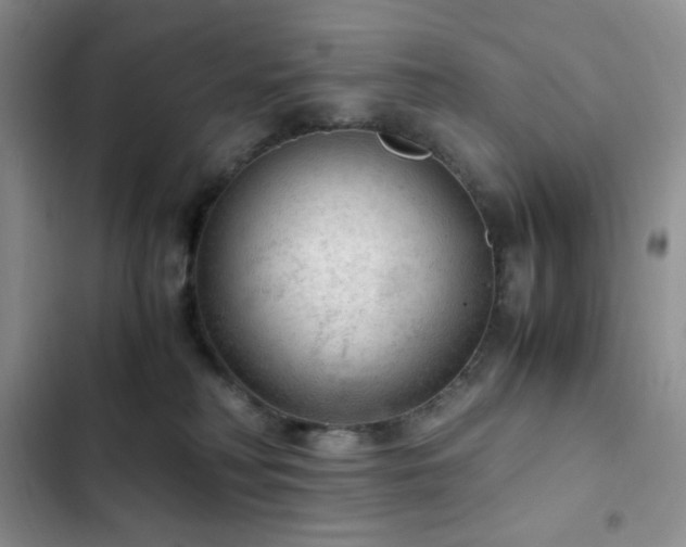 X0000103160230200808221401
