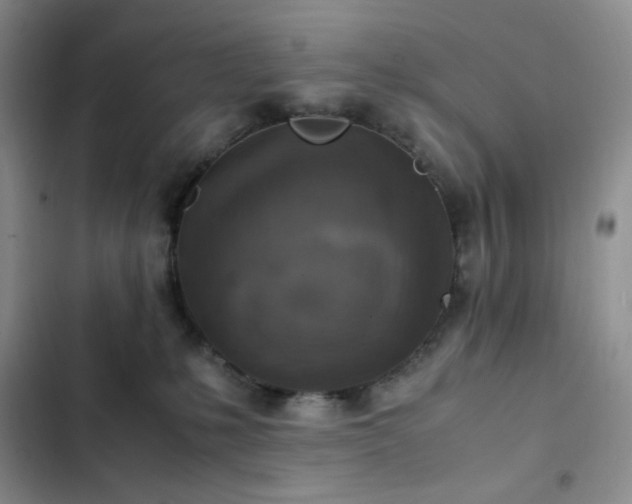 X0000103160231200808221401