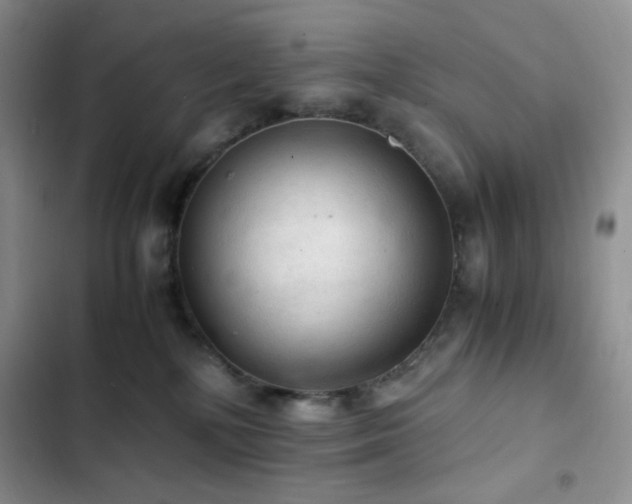 X0000103160232200808221401