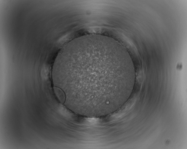 X0000103160233200808221401