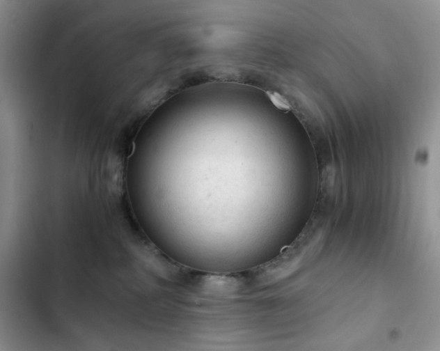 X0000103160234200808221401