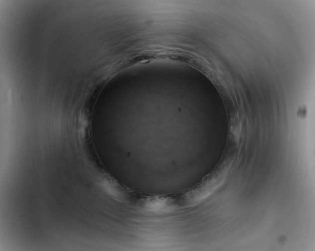 X0000103160235200808221401