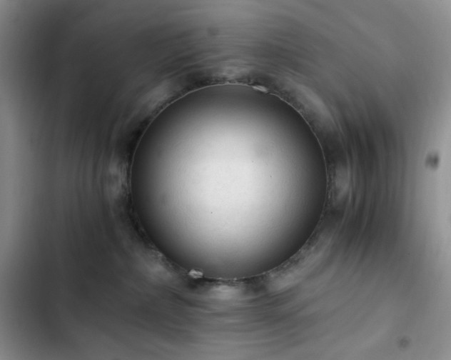 X0000103160236200808221401